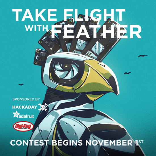 Take Flight with Feather