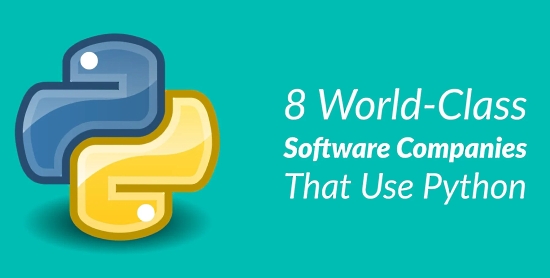 8 World-Class Software Companies That Use Python