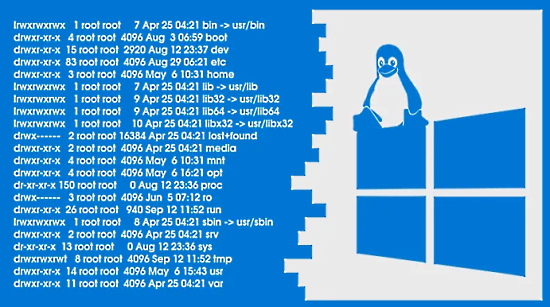 Access Linux Filesystems in Windows 10 and WSL 2