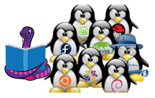 Dublin Linux Developer online meetup with Adafruit