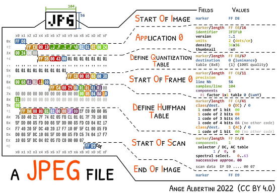 JPG Dissection