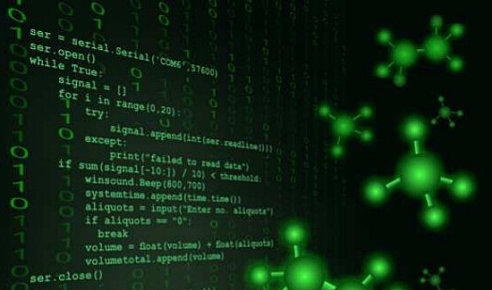 Integration of Python Programming in Undergraduate Physical Chemistry Experiments