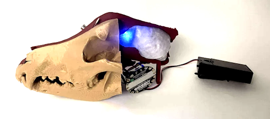 Interactive dog skull