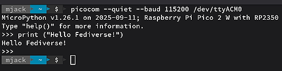 Raspberry Pi Pico 2 W with MicroPython on OpenSUSE Leap 16.0