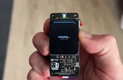 Pocket-sized AI assistant