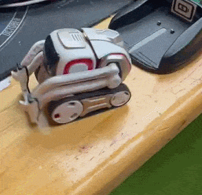 FPV explorer robot