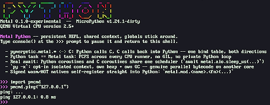 Metal boots into a persistent native MicroPython REPL