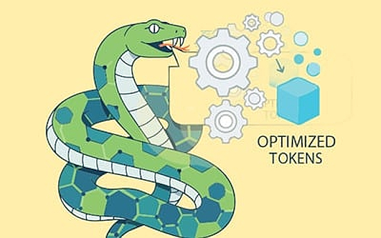 Token optimization using Python for prompt development